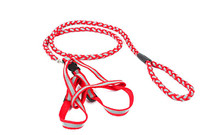 孺子娃寵物帶代加工工廠 孺子娃寵物帶代加工工廠