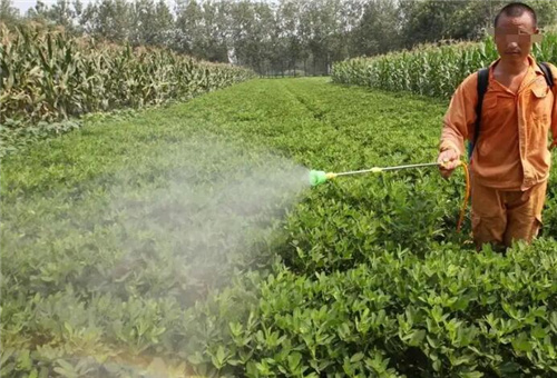 抗旱葉面肥 抗旱葉面肥